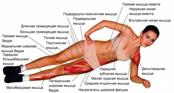Что кушать перед сном чтобы похудеть